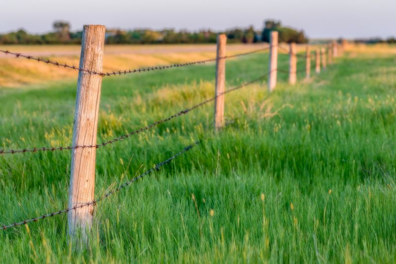 Privacy Fence Options