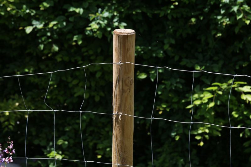 Privacy Fence Options